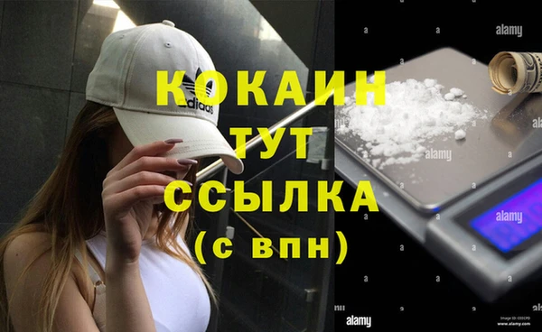 прущая мука Дмитриев