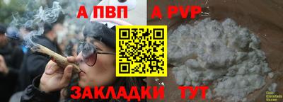 стаф Донецк
