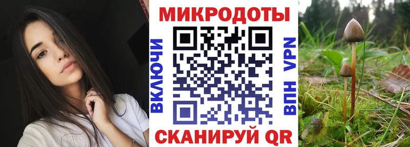 купить наркоту  Пушкино  Псилоцибиновые грибы Psilocybe 