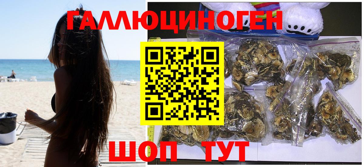 Галлюциногенные грибы прущие грибы  Псилоцибиновые грибы GOLDEN TEACHER  Вход с VPN  Пушкино 